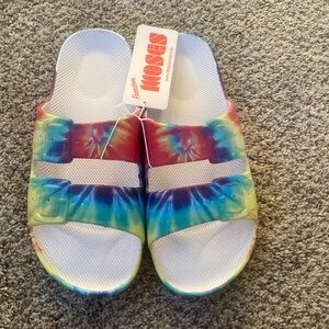 Freedom Moses Slides